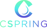 CSpring One